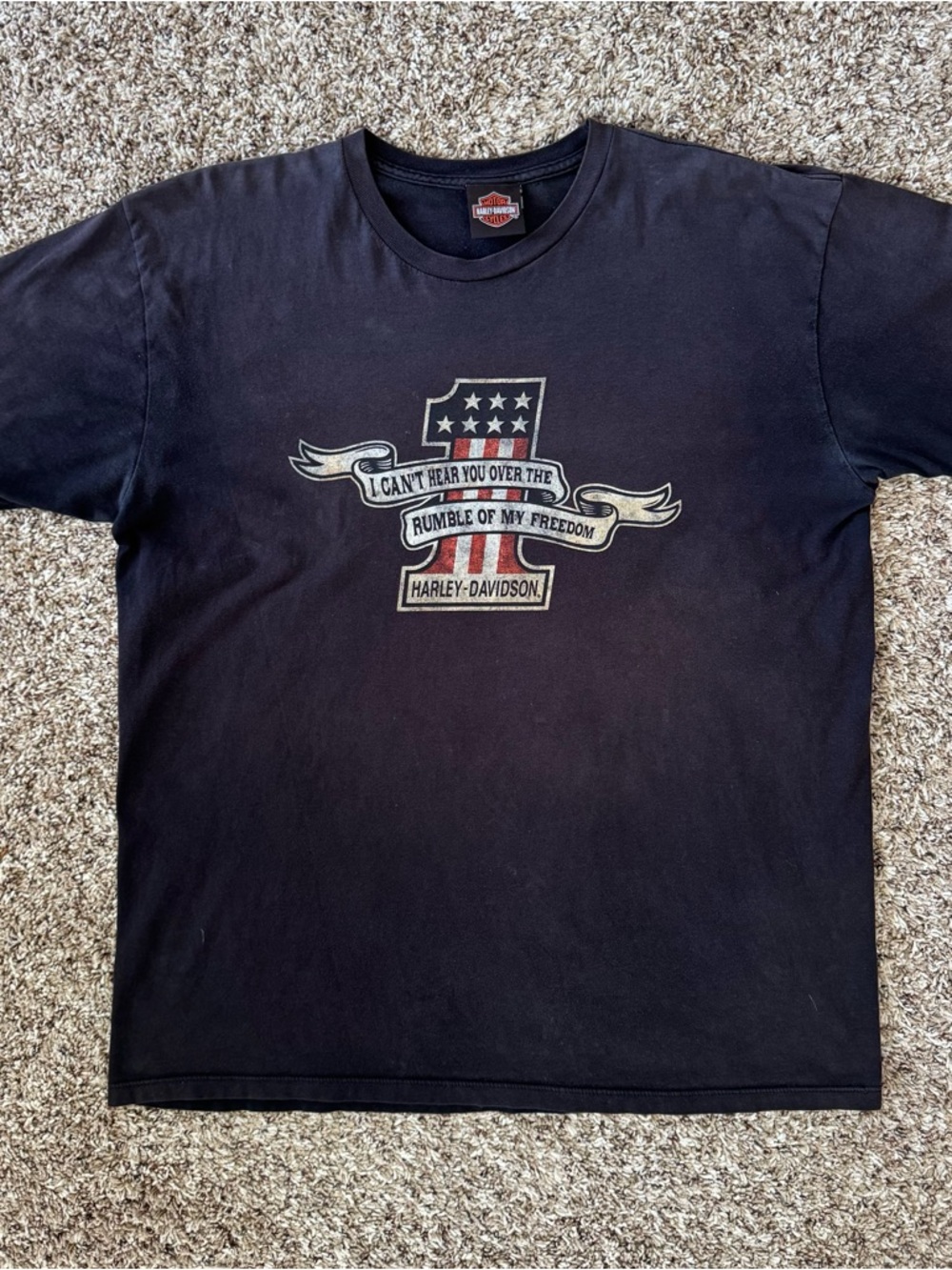 Harley-Davidson Kid Rock Tee Shirt Rumble of My Freedom Rebel Soul